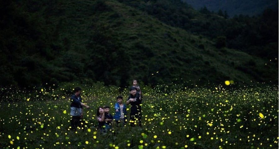 Khám phá Lễ hội Đom Đóm tại Muju Hàn Quốc 2 Quà tặng thiên nhiên ưu đãi con người nơi đây