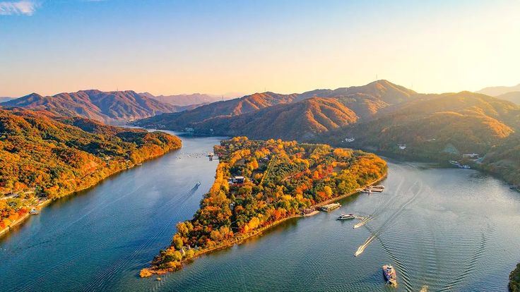 Nami Island – A Fairytale Escape in South Korea 🌿✨