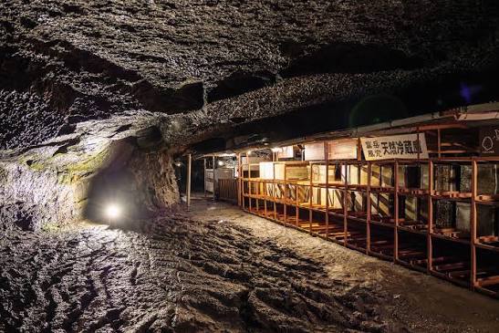 Hang động băng Narusawa Ice Cave – Kỳ quan băng giá dưới chân núi Phú Sĩ 1 hang dong dung nham