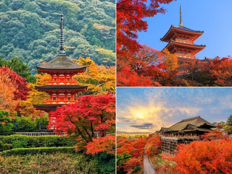 mua thu Kyoto