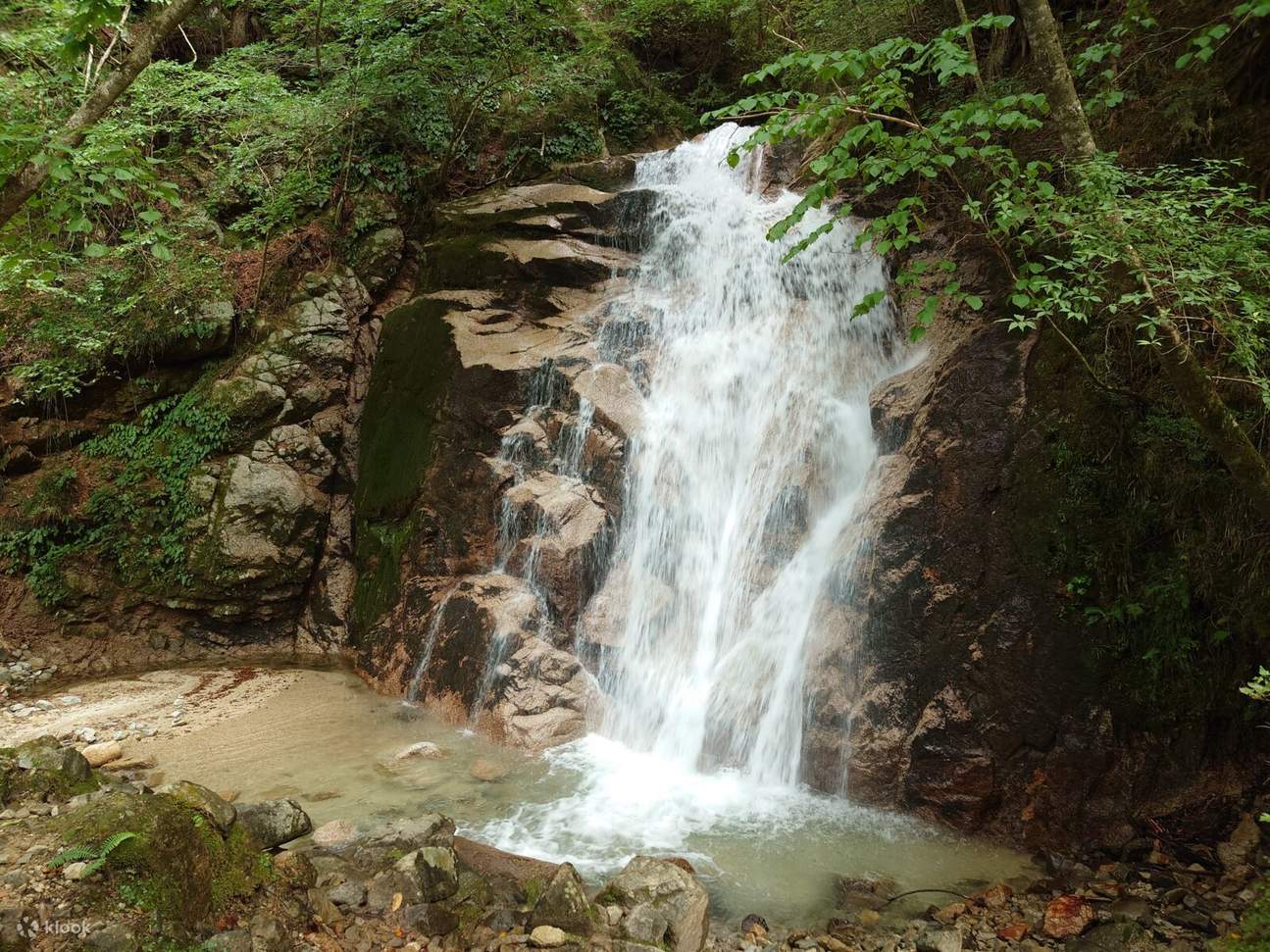 nen duong mon