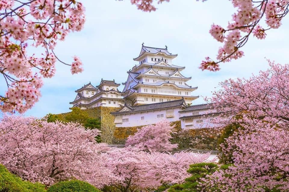 xuan kyoto