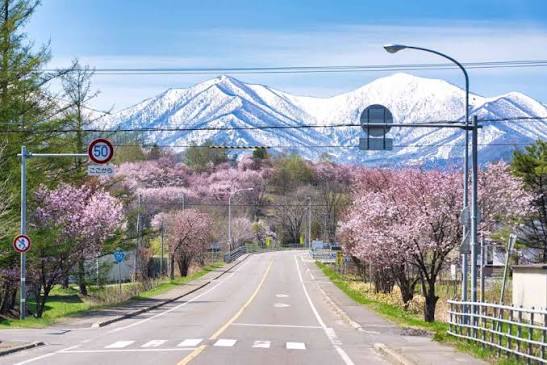 7 cung đường du lịch Nhật Bản đẹp dành cho người thích khám phá 6 Cung duong Hokkaido