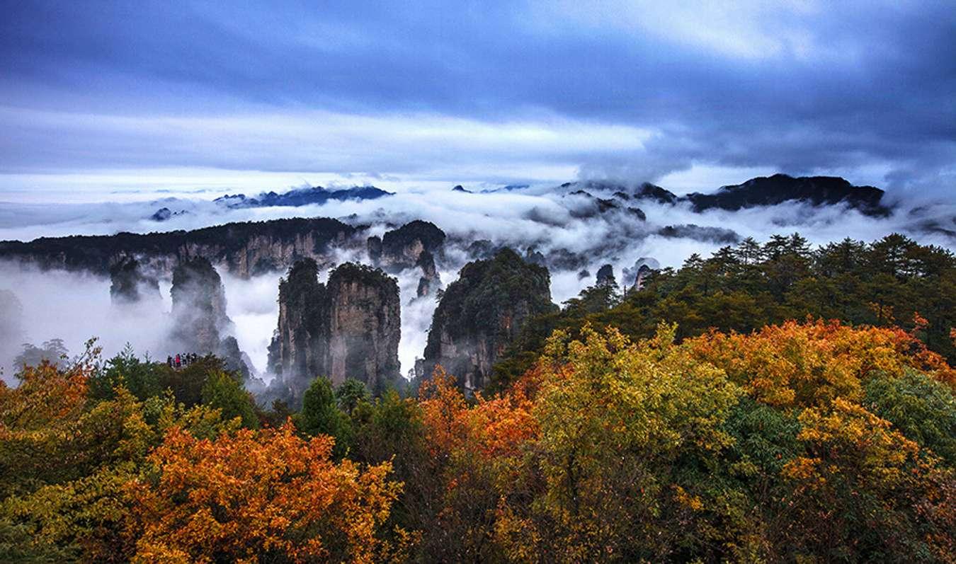 truong gia gioi 2